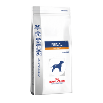 Royal Canin VET Dog Renal Select 10kg